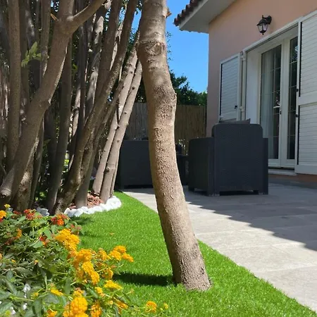 L'isola Felice דירה אולביה